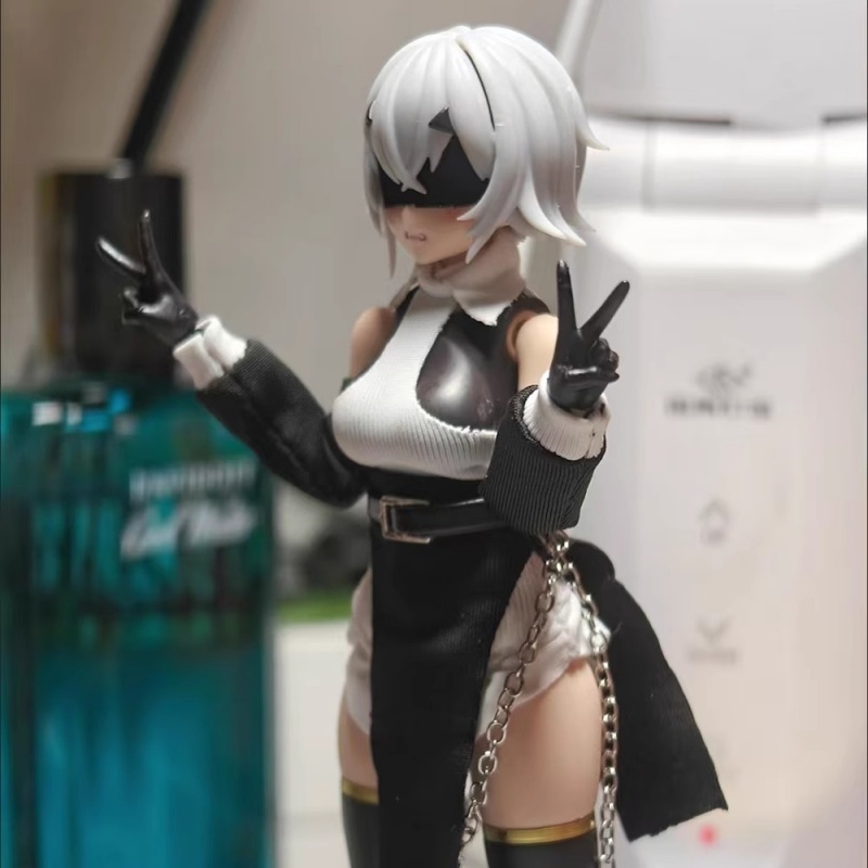 1/12 escala colorida fora do o - Model Kit Girls avaliação e preço
